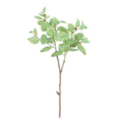 Simulované bobule